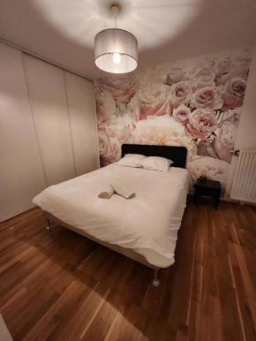Bel appartement avec fibre et parking